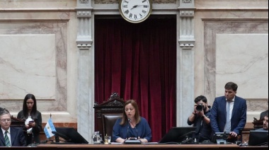 Diputados aprobó el Consenso Fiscal y la promoción de la enfermería