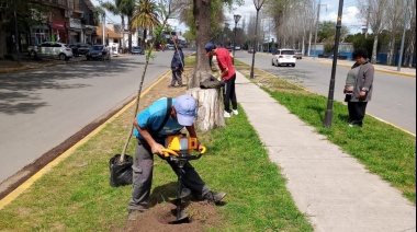 Se realizó una jornada de forestación en la Estación de Longchamps