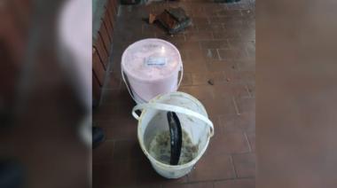 Era buscado desde 2019 y lo encontraron robando baldes de helado