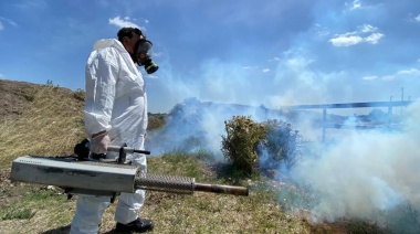 Brown potencia la campaña para prevenir el dengue
