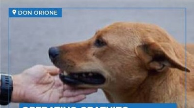 Zoonosis Brown: Se llevarán adelante jornadas de castraciones gratuitas en Mármol y Don Orione