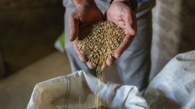 Apertura de nuevos mercados estratégicos para las exportaciones argentinas