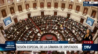 Diputados busca sancionar el plan de pago de deuda previsional