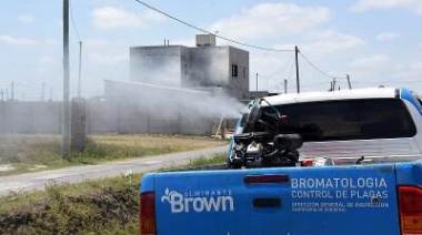 Profundizan las medidas para prevenir el dengue en Brown