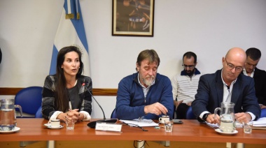 Avanza la incorporación de los vehículos eléctricos a la Ley Nacional de Tránsito