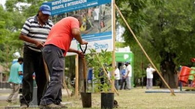 Con un plan de forestación histórico, ya plantaron 5 mil árboles