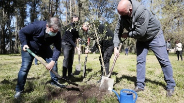 Con un plan de forestación histórico, ya plantaron 5 mil árboles