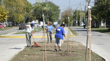 En Brown avanza la forestación masiva con especies nativas