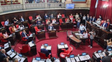 Reclamo a la Justicia Federal para que investigue el atentado contra Cristina
