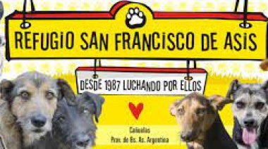 El refugio San Francisco de Asís realizará un bingo solidario