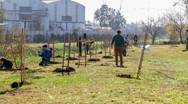 Plantaron 150 árboles nativos en homenaje por el aniversario de Almirante Brown