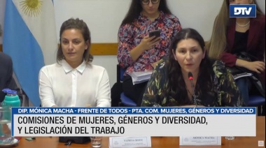 Diputados debatieron la ampliación de licencias maternales, paternales y parentales
