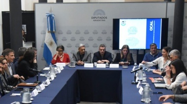 Se realizó en Diputados una jornada sobre Inteligencia Artificial