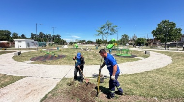 Avanza la forestación y parquización de espacios en Glew y Longchamps