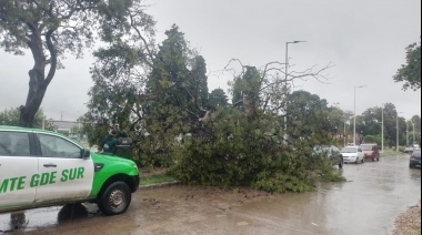 Los equipos municipales trabajan en las calles de Echeverría