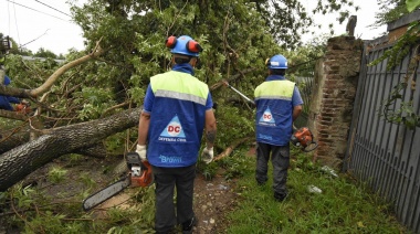 El Municipio ya realizó 450 intervenciones y continúa trabajando en los barrios