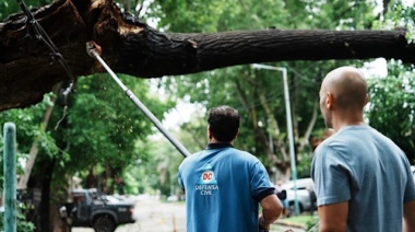 Un centenar de techos volados y árboles y postes caídos, las consecuencias del temporal en Lomas