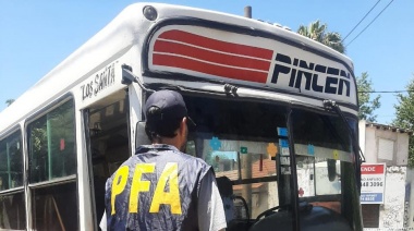 Detienen al conductor del micro escolar que arrolló a una perra callejera