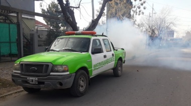 Contra el dengue: Continúan las fumigaciones