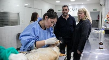 Desde Córdoba buscan replicar el modelo de sanidad animal de Brown
