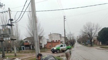 Realizan tareas de saneamiento preventivo en los barrios