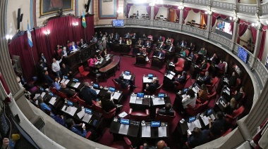 El Senado vuelve al ruedo este miércoles
