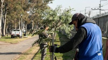 Jornada de forestación con especies nativas en la Estación de Claypole