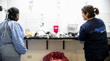 Zoonosis Brown llega a Ministro Rivadavia con jornadas de castración