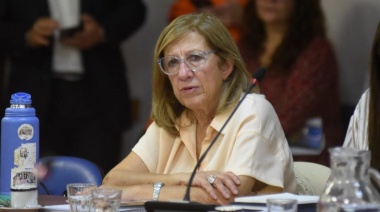 Martínez consideró que Milei decidió mudar la planta de GNL a Río Negro para “penalizar a los bonaerenses”