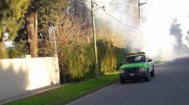 Avanzan los operativos de fumigación