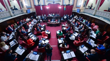 El Senado buscará convertir en ley el proyecto de emergencias médicas
