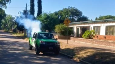 Nuevos operativos de fumigación para prevenir el dengue
