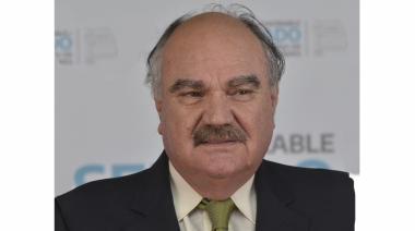 Schiavone entendió que el PRO debe ir a “una alianza sin perder la identidad” con LLA
