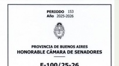 El kirchnerismo duro propicia la reelección indefinida de legisladores provinciales y concejales pero no de intendentes