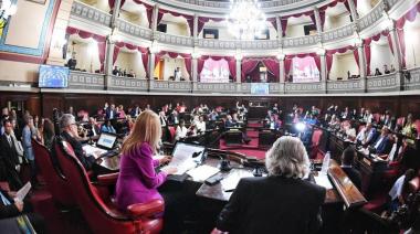María Rosa Martínez: “Suspender las PASO fue una necesidad unánime”