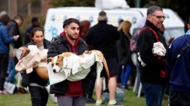 Conmemoran el "día del animal" con una nueva campaña de castraciones masivas