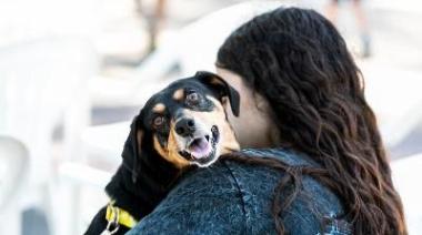Conmemoran el "día del animal" con una nueva campaña de castraciones masivas
