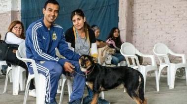 Continua la campaña de castraciones masivas