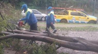 Intenso trabajo en los barrios para frenar los efectos de las fuertes tormentas