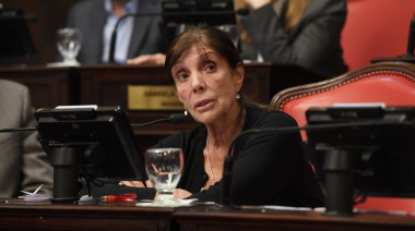 El cristinismo no consiguió el quórum para votar reelecciones indefinidas de legisladores y concejales