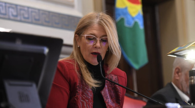 Magario desempató y el cristinismo aprobó la reelección indefinida para legisladores y concejales