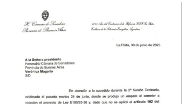 Libertarios piden anular la votación en el Senado del proyecto de reelección indefinida de legisladores y concejales