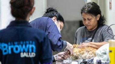 Día Mundial del perro: Zoonosis Brown atendió a 543 animales