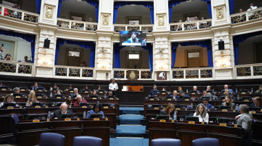 Diputados avanzó con la reglamentación de la actividad de los acompañantes terapéuticos