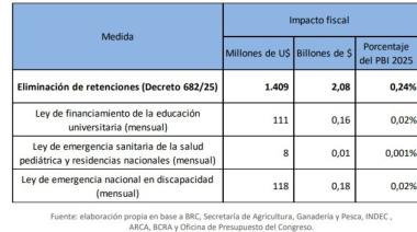 La motosierra de Milei a todo o nada contra el Estado: Denuncian que desconoce leyes