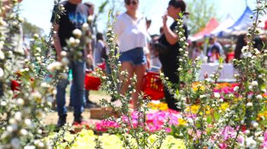 "Viví la granja" y Concurso de Manchas, la propuesta de Almirante Brown