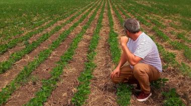 Productores cuestionan que la quita de retenciones favorece a las grandes empresas