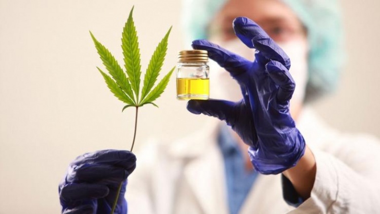 Hay acuerdo en la Cámara de Diputados para tratar la ley de cannabis de Kicillof