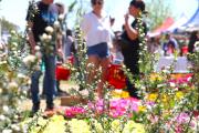 "Viví la granja" y Concurso de Manchas, la propuesta de Almirante Brown