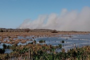 Ambientalistas denuncian incendios intencionales para avanzar en la construcción de barrios privados